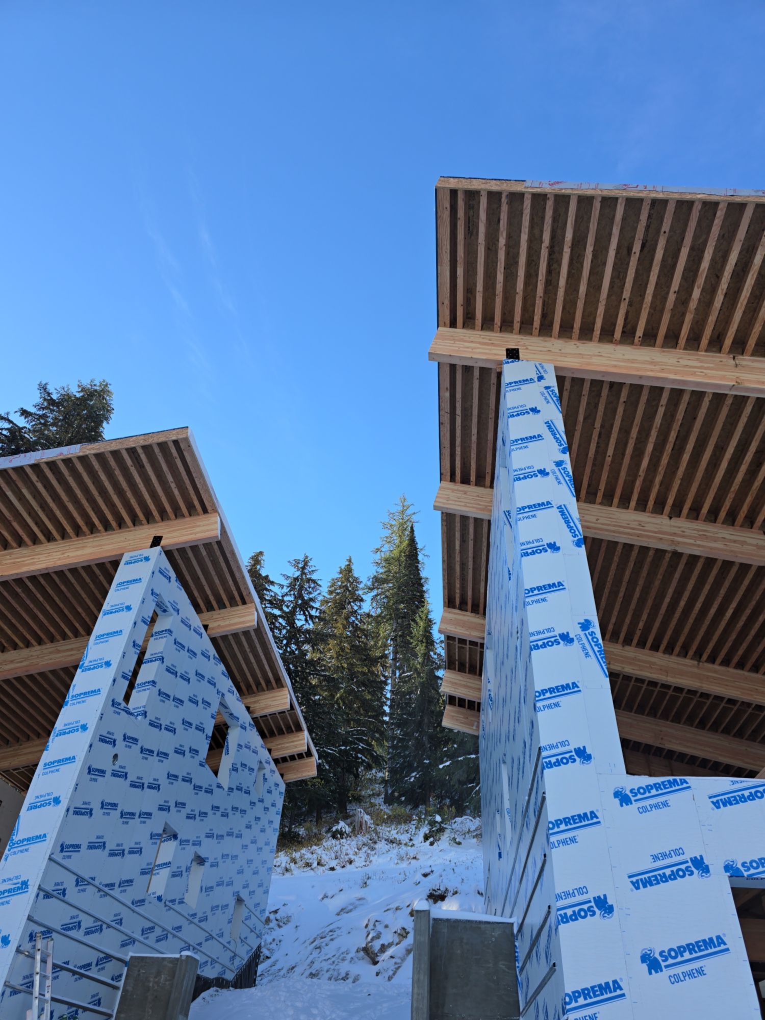 A home under construction in winter: walls wrapped in white membrane, heavy timber beams and exposed roof joists against a blue sky, with snowy evergreens between
